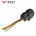 High quality automotive wiring engine wire harness car light harness