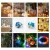 Import High Quality Christmas Decorative Holiday led string lights from China