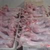 High Quality Frozen Whole Rabbit Meat / Frozen Rabbit Meat and Parts