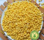 High Quality Vigna  Beans radiata
