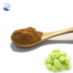High Quality Hops Flower Extract/Flavones/humulon powder