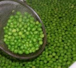 high quality IQF FROZEN GREEN PEA for sale