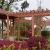 Import high quality Microprocessor Transistor garden pergola with factory prices from China