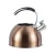 Import High-temperature paint water kettle stainless steel teapot hot water kettle whistle tea kettle from China