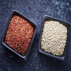 Highest Quality Quinoa Grain Quinoa Seeds