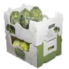 Hollow plate packing box for fruits and vegetables