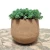 Import Home and garden  decoration injection mould flowerpot small flower pot wooden pot cork planter succulent planter from China