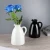 Import Home Decoration Europe Design Flower Vase Ceramic White Vase from China