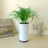 Home Decorative Artifical Potted Plants With Plastic Basement Electric Aromatherapy Oil Diffuser Air Purifier With Humidifier