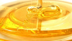 Honey Syrup 460 gram 850 gram