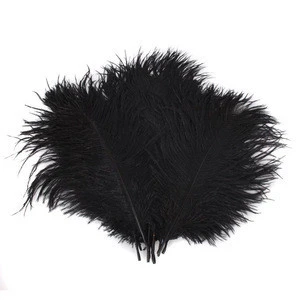 Hot Sales 20-25cm Bulk Ostrich Feathers White for Party Supplies