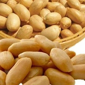 Hot Seller Roasted Sweet Corn Flavor coated peanuts, wholesale peanut price