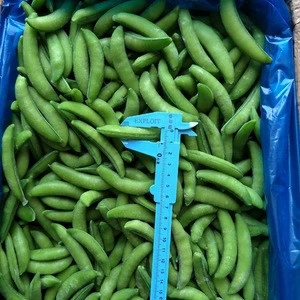 Hot Selling High Quality IQF Frozen Vegetables/Fresh Frozen Sugar Snap Peas/Sweet Peas with Delicious Taste