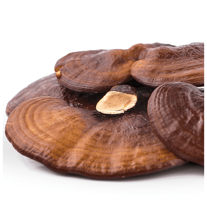 Buy Hot Water And Alcohol Extraction Pure Organic Reishi Mushroom
