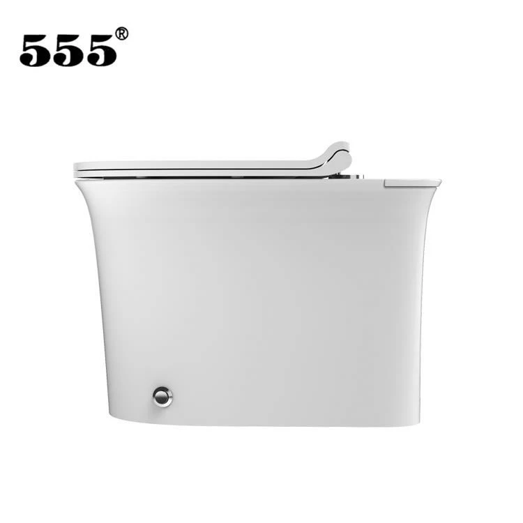 Hotel Toilet Black China Bowls Bidet Light Potty Water Floor Cover Tanks Toilet_Seats Cabin House Chair India Small Piece