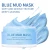Import Hydrating Organic Vegan Blue Berry Facial Face Mask  Kaolin Bentonite Blue Clay Mask from China