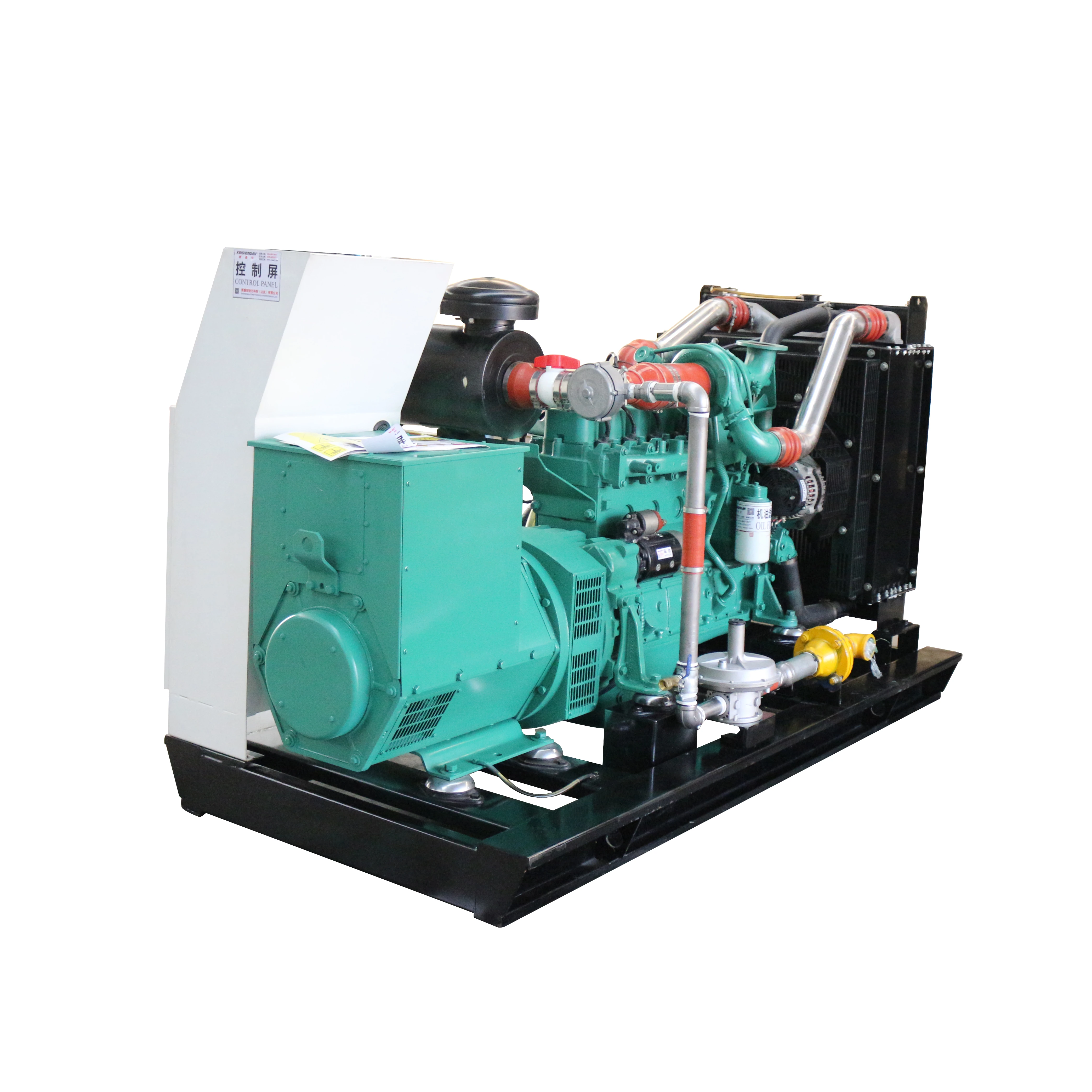 50HZ 60HZ Home CE Approved Natural Gas Generator Can Be Customized