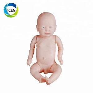 IN-403 New style Teaching Normal Newborn Baby Fetus Model For Medical Science