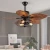 Import Indoor Lighting Remote Control Home Decor Lamp Luminous Fancy Ceiling Fan Light from China