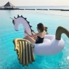 Inflatable golden pegasus floating rowWhite PVC INFLATABLE HORSE WITH WINGS Floating RowGold wings unicorns floating rows golden