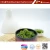 Import Japan frozen seaweed salad manufacturer Frozen seaweed Salad 1kg from China