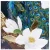 Import Jinyi Modern wall picture for home decoration animal peacock oil painting on canvas from China