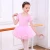 Import Kids Girl Ballet Dress Dance Dress Tutu Dresses For Girls Kids Children High Quality Short Sleeve Tulle Dance Wear Performance from China