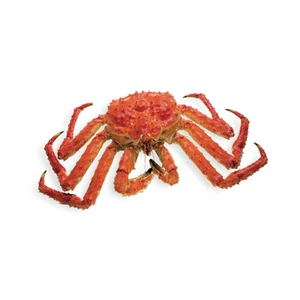 king crab for sale