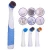Import Kitchen Scrubber  Cleaning Brush 4pk from China