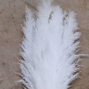 Korean ins Nordic style white reed pampas immortal imitation flower dried flower decoration