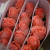 Kunming Dounan Flower Center Direct Sale Cut Fresh Flower Wholesale Roses Flowers