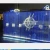 Import LED FULL COLOR fiber optic video curtain wall from China