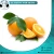 Import Lowest Price Fresh Citrus Orange Fruits from Egypt