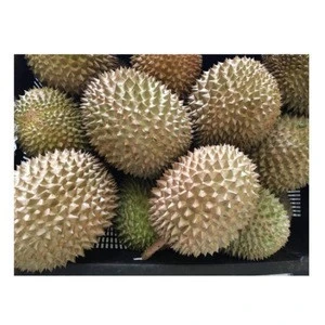 Malaysia Fresh Durian Fruit