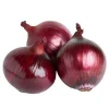Mesh Bag Packing Fresh Organic Red Onions Export To Dubai