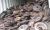 Import Metal Scrap / Cast Iron / Iron Scrap from Germany