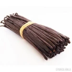 MEXICAN VANILLA BEANS