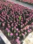 Import Mini cactus succulent artificial succulent plant from China