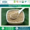 Natural Sesame Extract Sesame Seed With High Purity