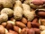 Import New Crop Good Quality Peanuts for sale from India