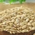 Import New Crop High Quality Raw Large Processing Pumpkin Seeds from China from China