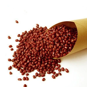 New crops nice price small red kidney bean for sale