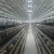 Import New design poultry farm house cheap chicken farm building Automatic prefab chicken house from China