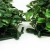 Import New style green plastic recycled artificial plant for home art from China