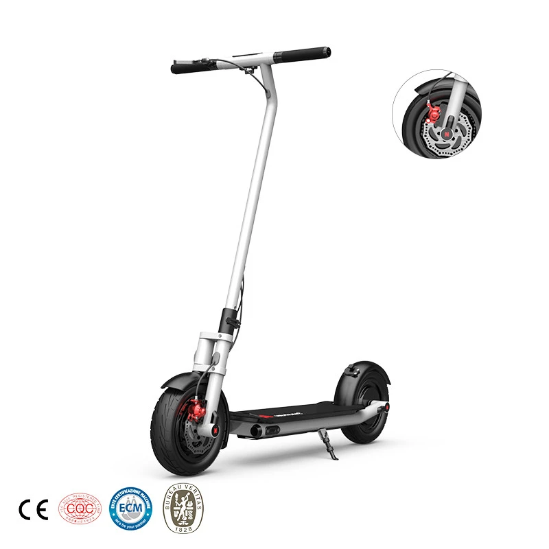 New Style Portable 350W Smart 36V Electric Scooter with seat for adults