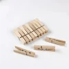 OEM Factory decorative colored bulk wood clothespins wholesale laundry large mini bamboo clip hanging craft wooden clothes pegs