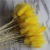 Import One bundle of 55 branches  Dried Sage grass  Home decoration  Dried flower bouquet  Dried Lagurus Ovatus  plants flower from China