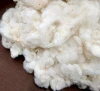 Organic Cotton, Unbleached Cotton, Natural Cotton