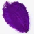 Import Party decoration beautiful Ostrich feather from China
