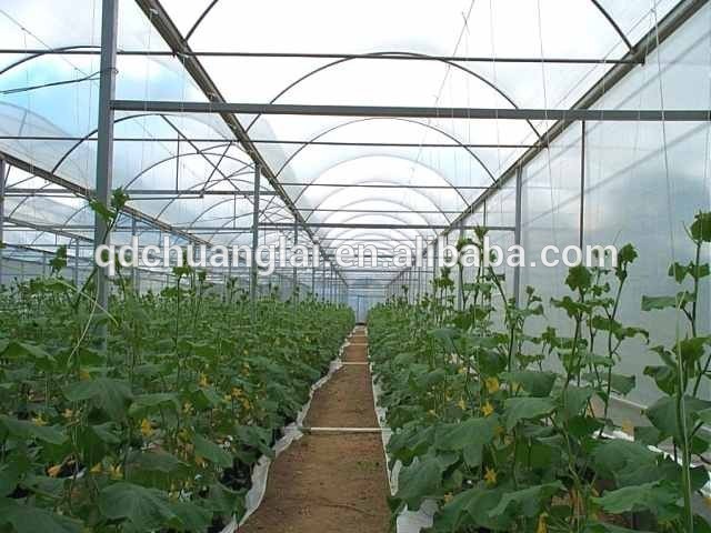 PE Outdoor Farme Agriculture Greenhouse for Plant